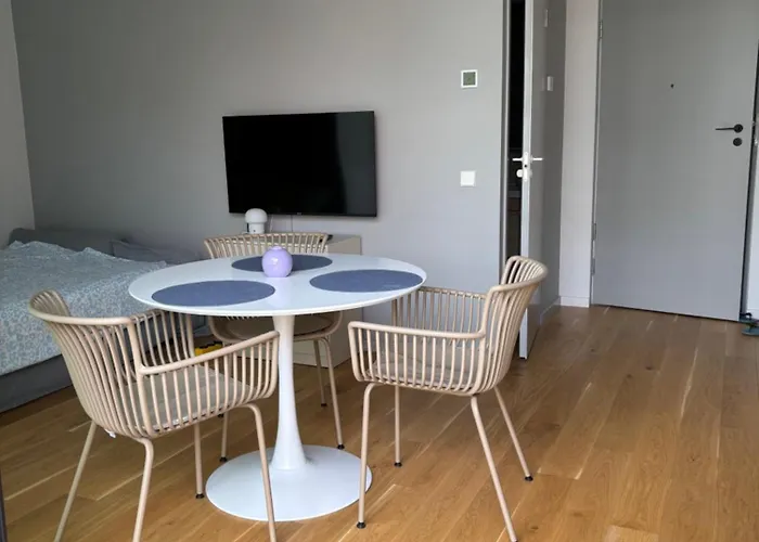 Flat In Paernu, Esplanaadi Street & Kitchen Apartman Pärnu